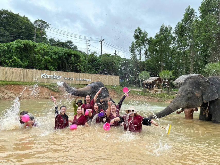 Phuket: Elephant Experience with Lunch or Dinner and Pickup - Walking through the jungle with the elephants