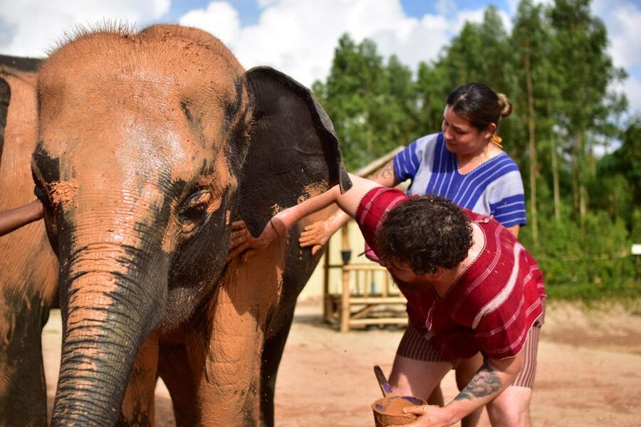 Phuket: Elephant Experience with Lunch or Dinner and Pickup - The mud spa and natural bathing session