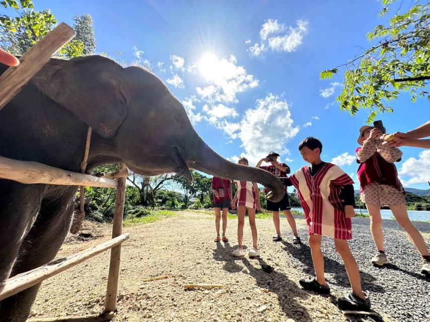 Phuket: Elephant Experience with Lunch or Dinner and Pickup - Hotel pickup and the ride inland