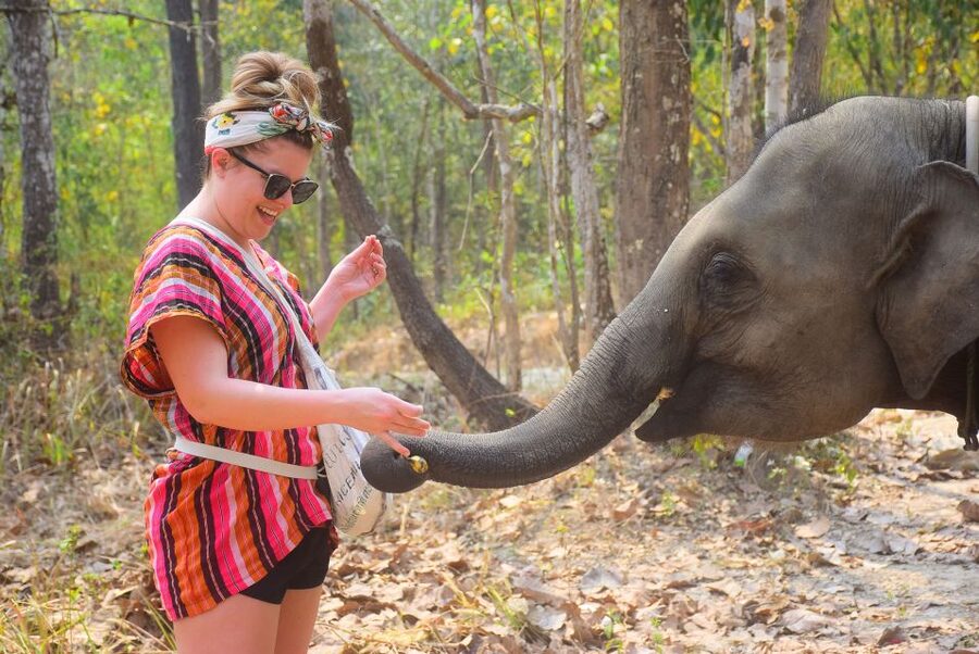 Phuket: Elephant Feeding Program - What this elephant visit is really like