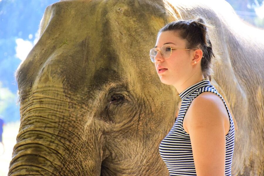 Phuket: Elephant Feeding Program - The 10-minute briefing about elephant behavior