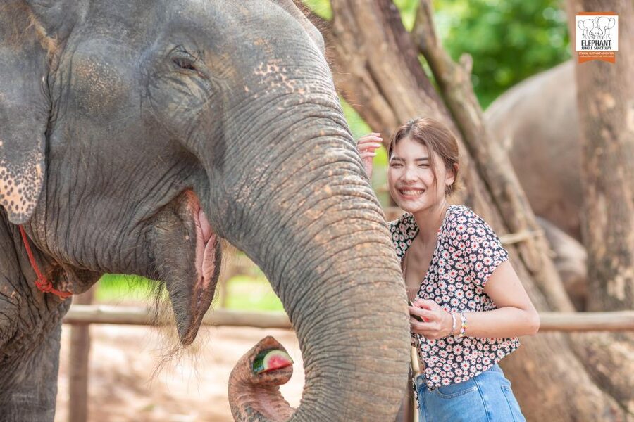 Phuket: Elephant Jungle Sanctuary Ethical Feeding Experience - The opening talk sets the rules