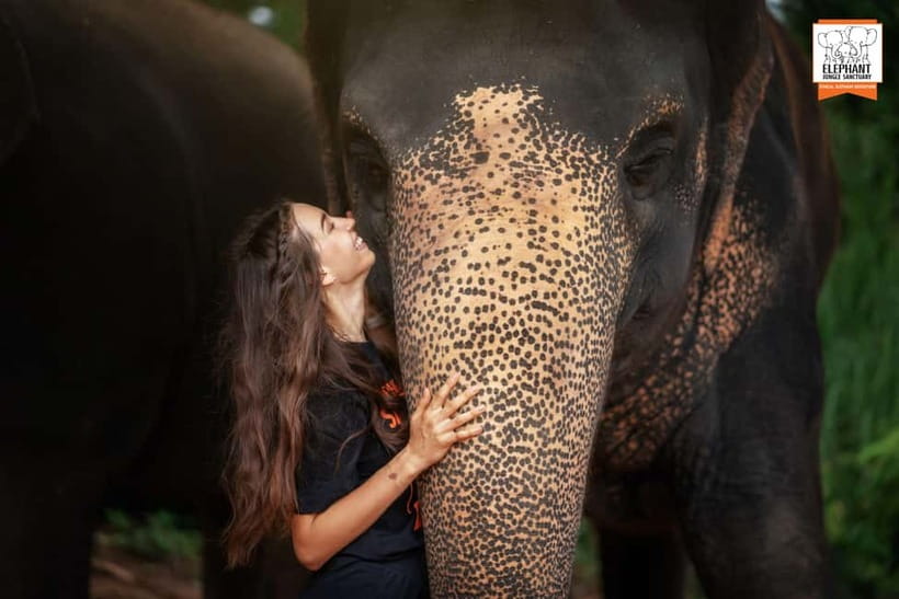 Phuket: Elephant Jungle Sanctuary Ethical Feeding Experience - What ethical means here