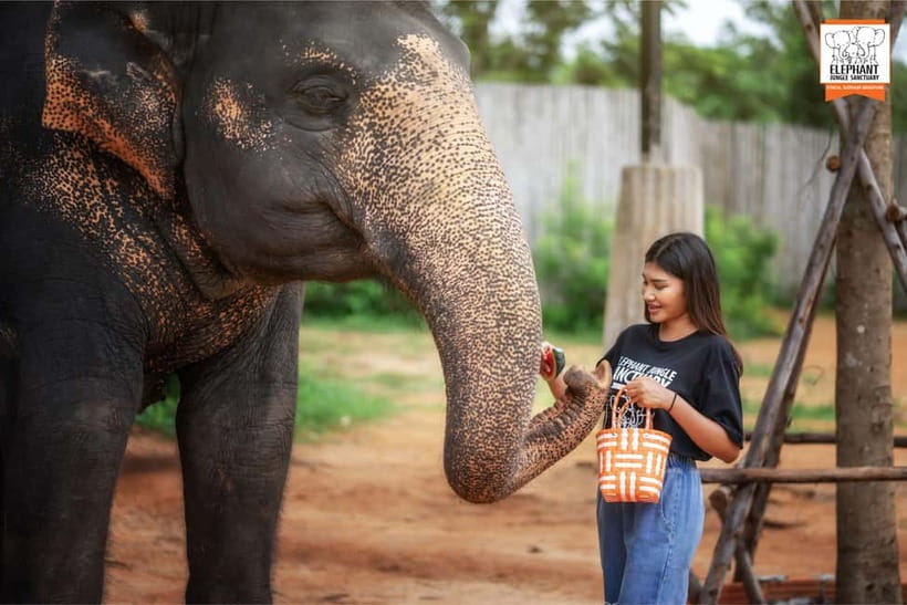 Phuket: Elephant Jungle Sanctuary Ethical Feeding Experience - Who should book this experience?