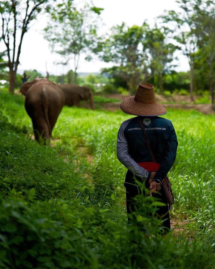 Phuket: Elephant Nature Reserve Entry Ticket and Guided Tour - Preparing food for the elephants