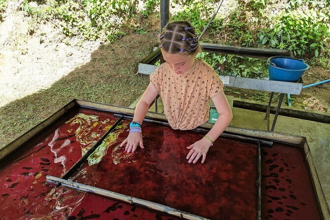 Phuket Elephant Nature Reserve Ethical Sanctuary - Why the no-touch rule matters