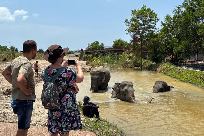 Phuket: Elephant Nature Walk - Guided Tour with Transport - Why the ethical approach matters