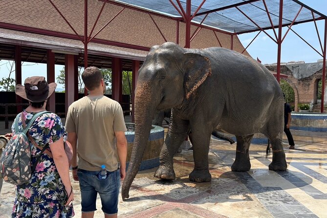 Phuket: Elephant Nature Walk - Guided Tour with Transport - Transport, timing, and group size