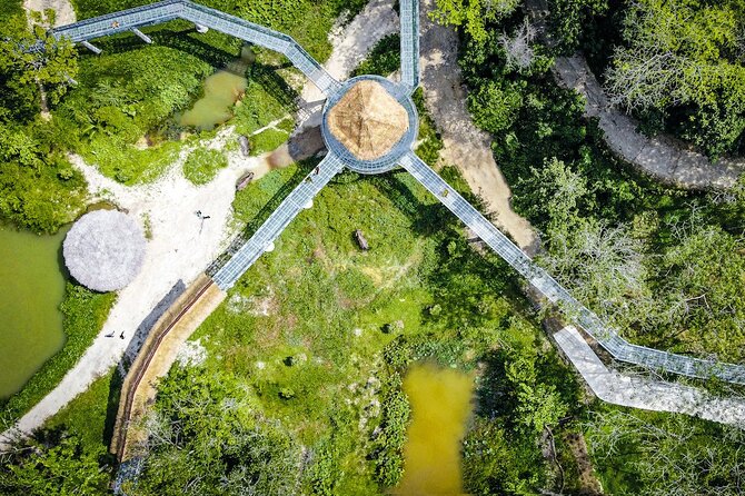 Phuket Elephant Sanctuary Canopy Walkway Tour - What happens after the walk