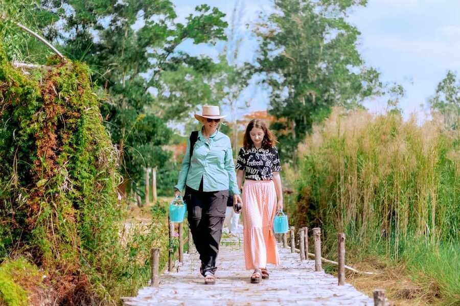 Phuket: Elephant Sanctuary Feed and Bathe Gentle Giants - My Take on the Elephant Encounter