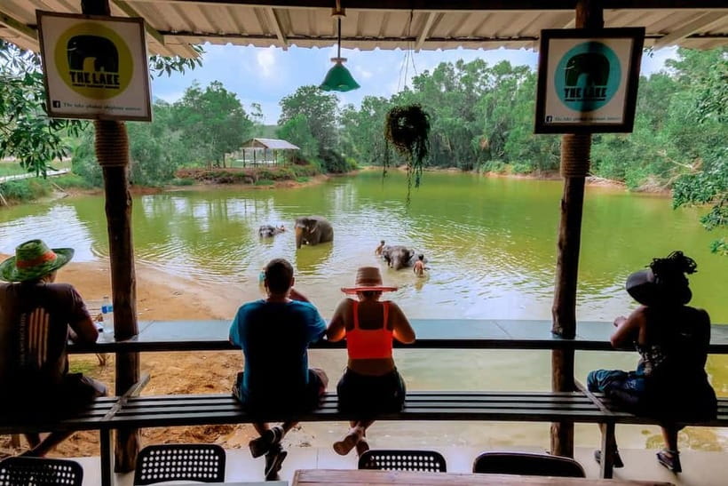 Phuket: Elephant Sanctuary Feed and Bathe Gentle Giants - Who Will Enjoy This Experience Most?