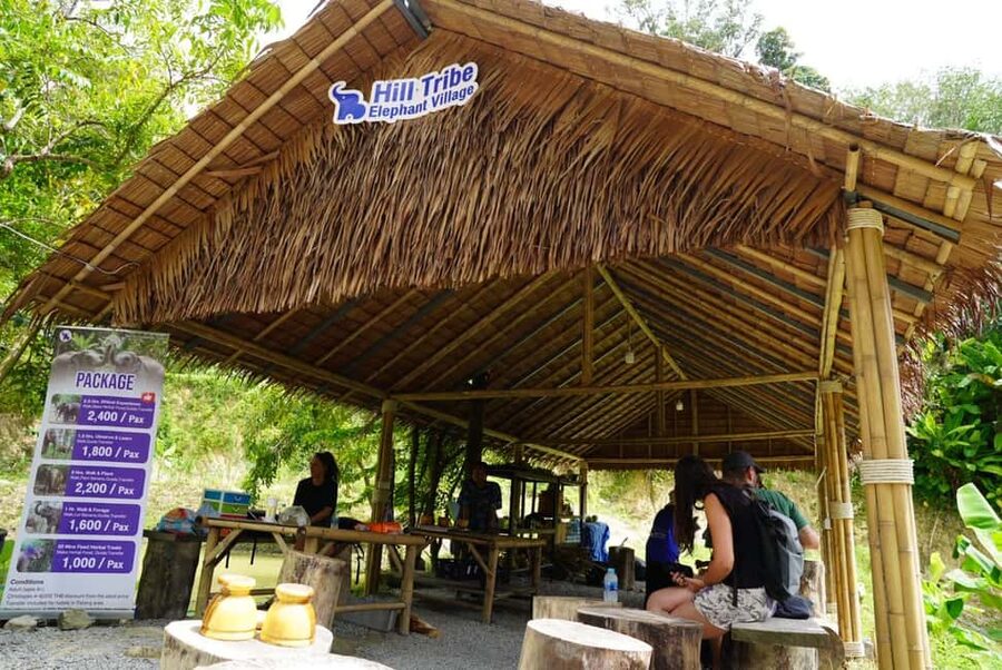 Phuket: Elephant Sanctuary Guided Tour with Hotel Transfers - Key points to know before you go