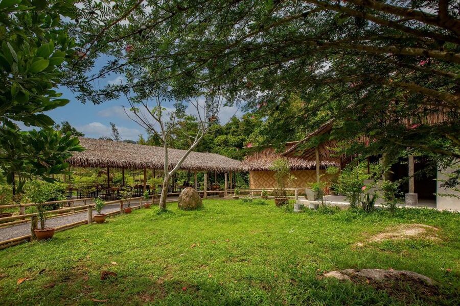 Phuket: Elephant Sanctuary Guided Tour with Hotel Transfers - Is $41 a fair price?