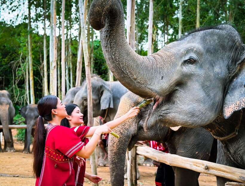 Phuket : Experience feeding and bathing elephants 1.5 Hrs. - Changing clothes and getting ready at the camp