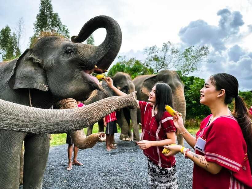 Phuket : Experience feeding and bathing elephants 1.5 Hrs. - Learning about elephants and Karen culture