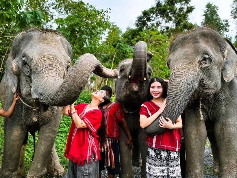 Phuket : Experience feeding and bathing elephants 1.5 Hrs. - Preparing food and feeding the baby elephants