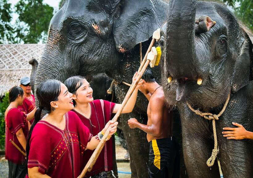 Phuket : Experience feeding and bathing elephants 1.5 Hrs. - Photos, poses, and the value of the free downloads