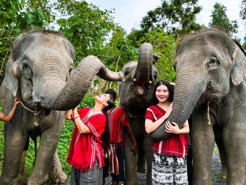 Phuket : Experience feeding and bathing elephants 1.5 Hrs. - Hotel pickup and the ride from Phuket
