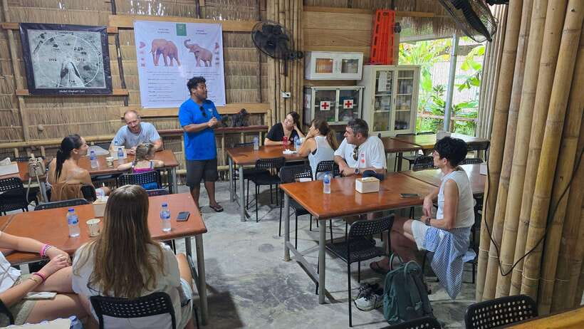 Phuket: Feeding Elephants at Phuket Elephant Care - Coffee, tea, and an eco-tourism introduction