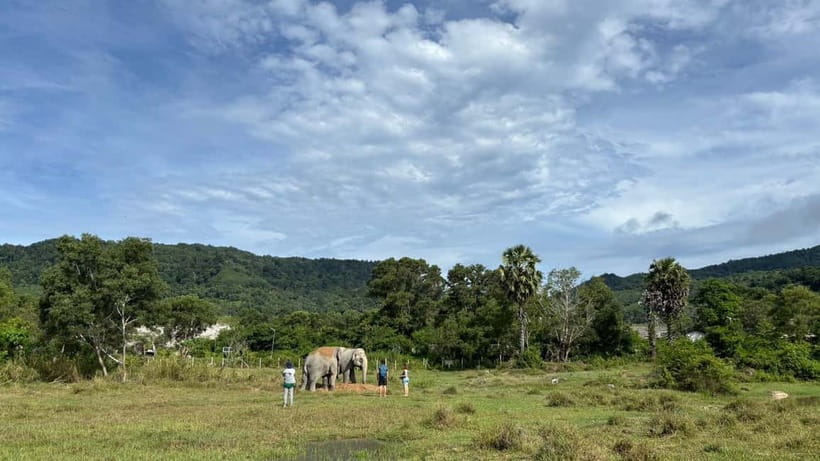 Phuket: Freedom Elephant Reserve - Ethereal Nature Walk - Who will enjoy this experience most?