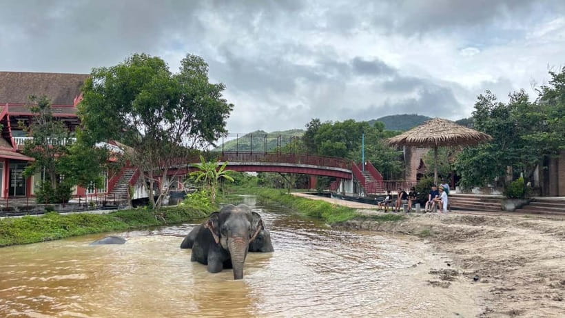 Phuket: Freedom Elephant Reserve - Ethereal Nature Walk - Sand, skin care, and elephant comfort