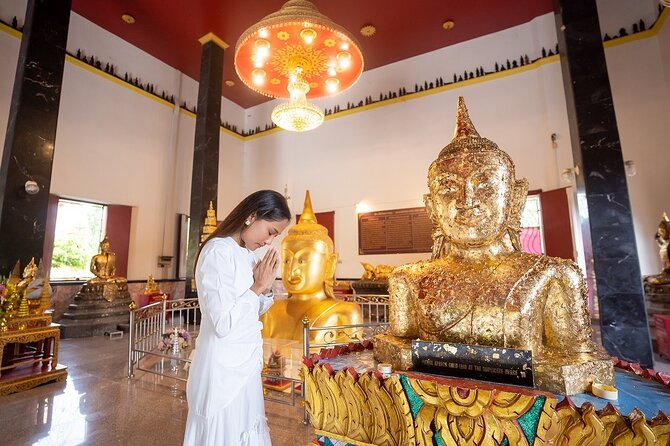 Phuket Giant Water Lilies & Temple Tour - Private & All-Inclusive - What this private Phuket morning is really about