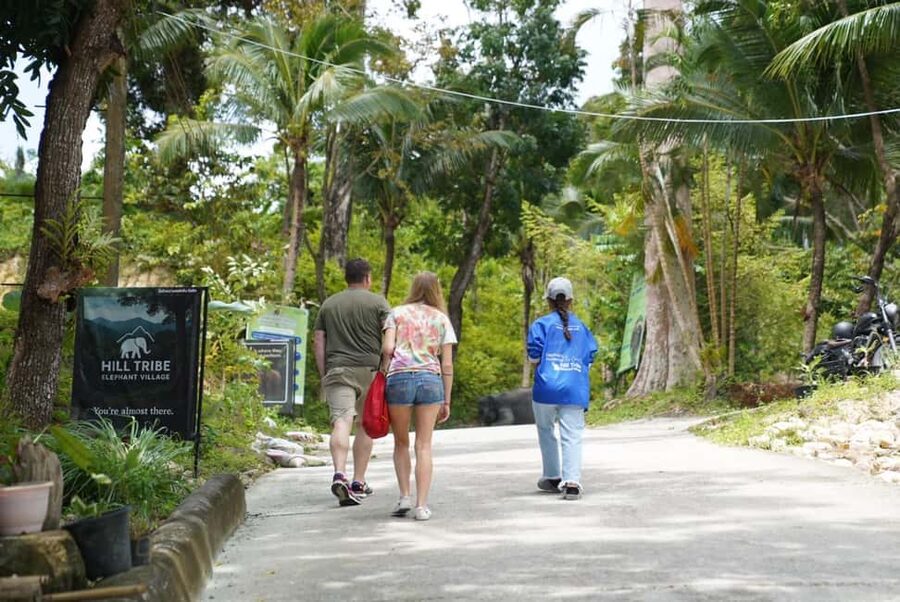 Phuket: Guide Tour to Patong Elephant Sanctuary - The van ride from Patong