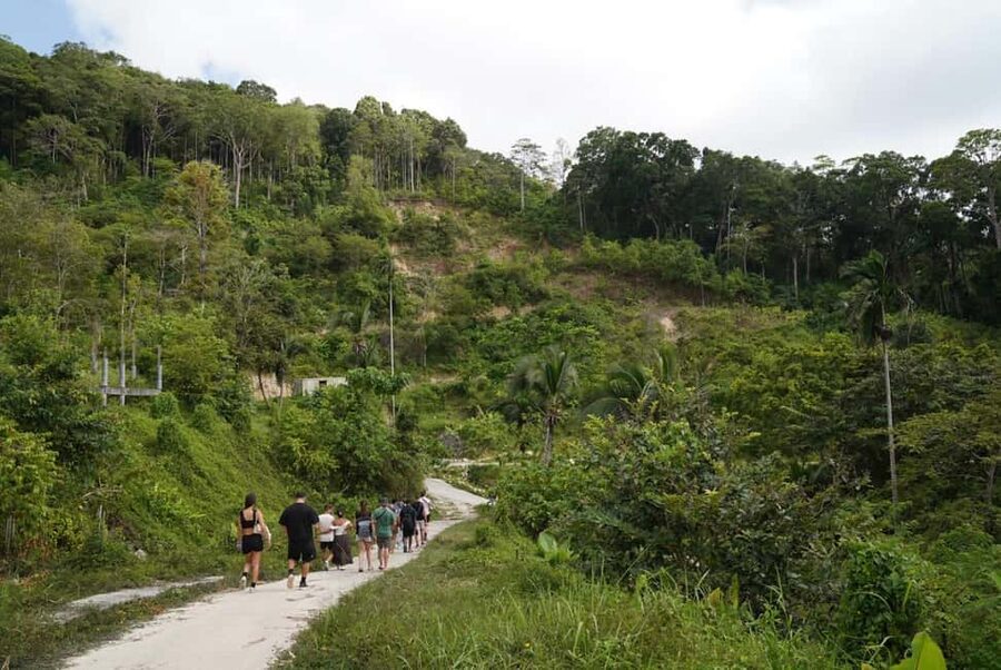 Phuket: Guide Tour to Patong Elephant Sanctuary - The new sanctuary and the missing toilet