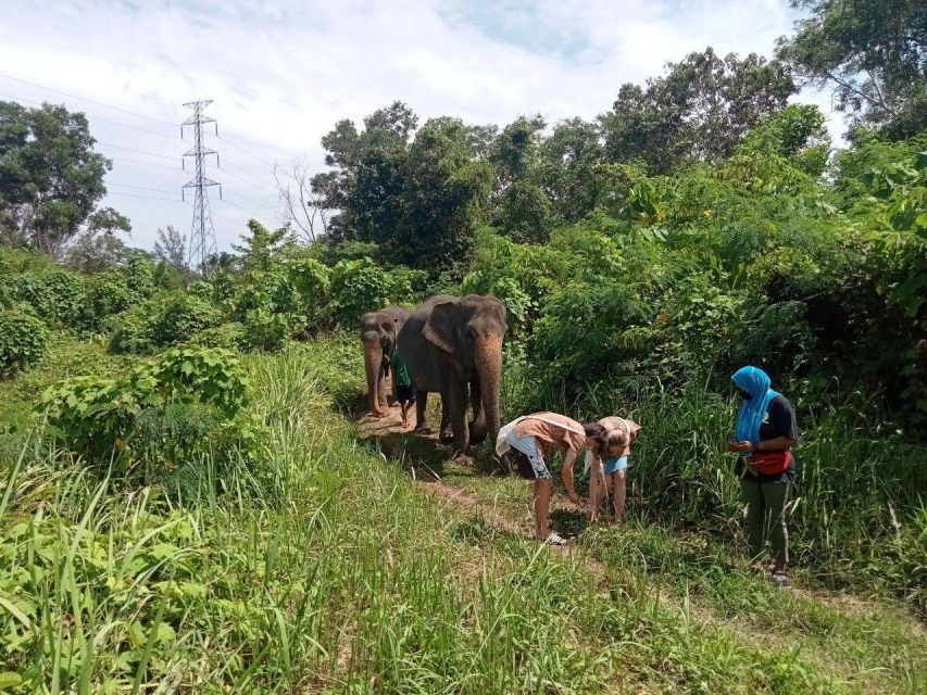Phuket: Guide Tour to Patong Elephant Sanctuary - Accessibility, language, and what to bring