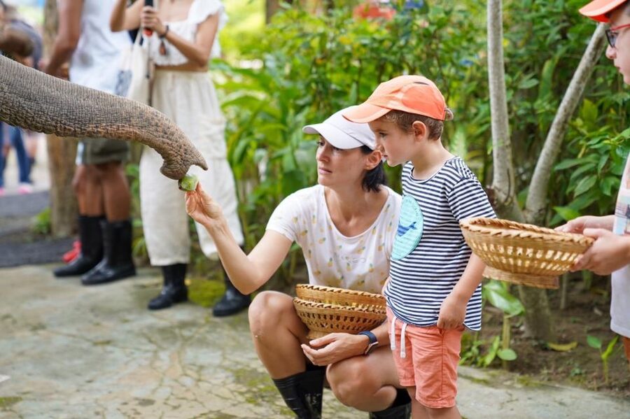 Phuket: Guided Tour to Elephant Sanctuary & Hotel Transfer - Choosing morning or afternoon
