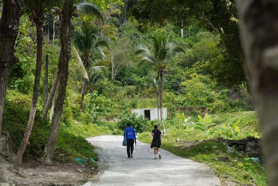 Phuket : Guided Tour to Elephant Sanctuary with Transfers - Why the ethical format matters