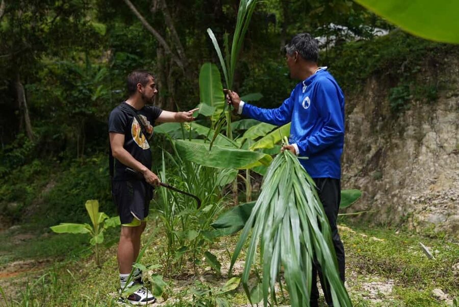 Phuket : Guided Tour to Elephant Sanctuary with Transfers - Morning or afternoon: which should you choose?