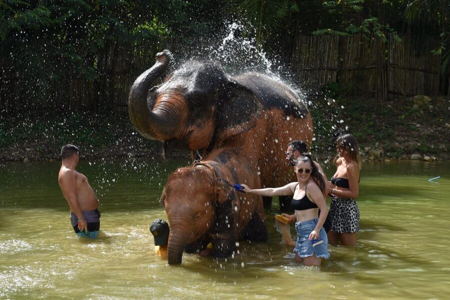 Phuket: Half Day or 2-Hour Ethical Elephant Care Sanctuary - Five things to know before you book