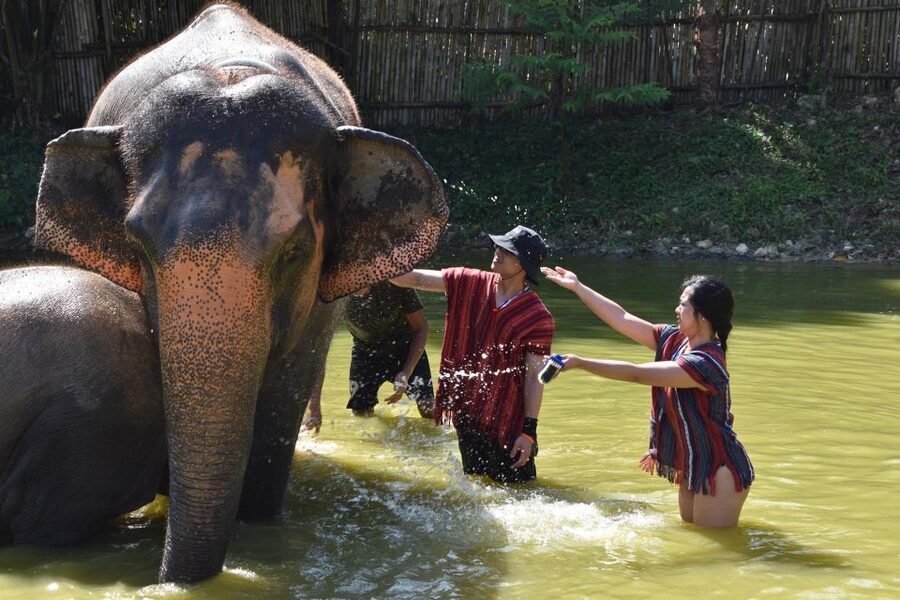 Phuket: Half Day or 2-Hour Ethical Elephant Care Sanctuary - Who should choose this elephant experience?