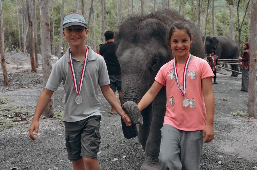 Phuket: Half Day or 2-Hour Ethical Elephant Care Sanctuary - Preparing elephant food by hand