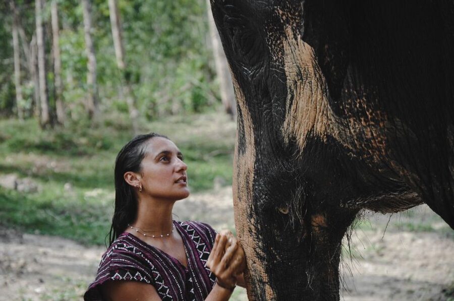 Phuket: Half Day or 2-Hour Ethical Elephant Care Sanctuary - Feeding, mud, and bathing in the half-day visit
