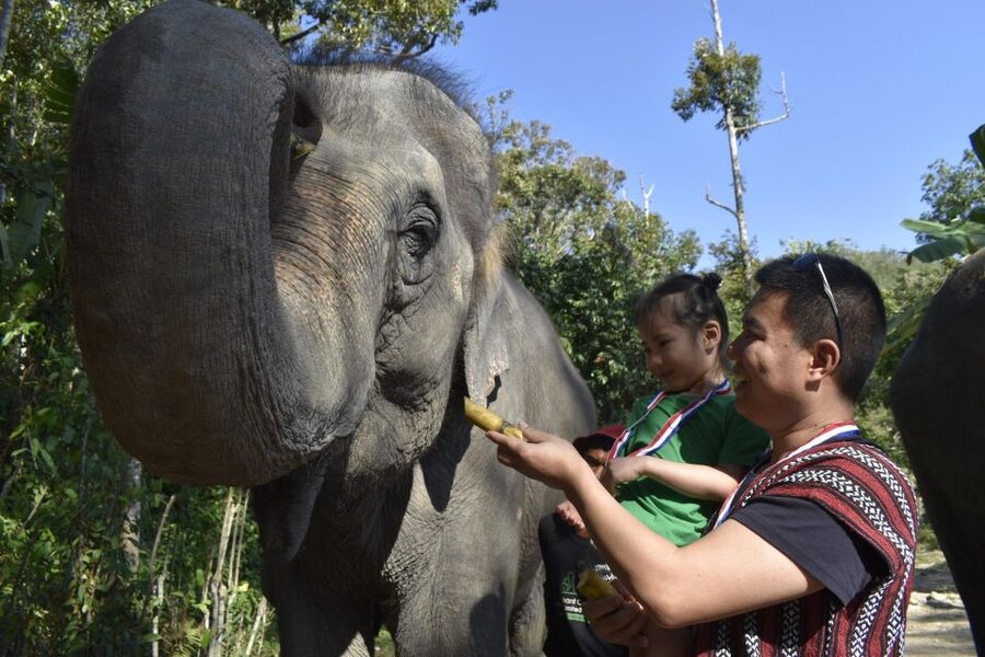 Phuket: Half Day or 2-Hour Ethical Elephant Care Sanctuary - Thai cooking and the meals included