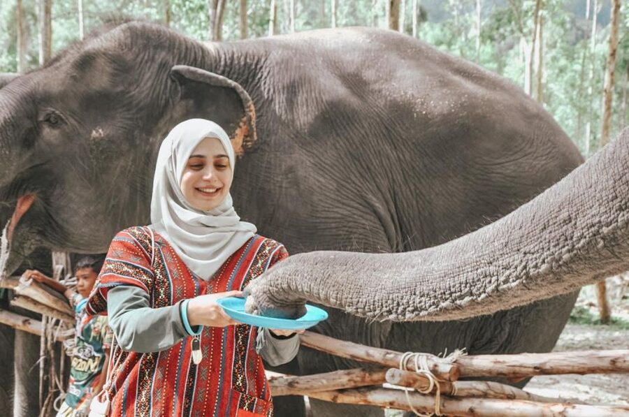 Phuket: Half Day or 2-Hour Ethical Elephant Care Sanctuary - Is $36 good value?