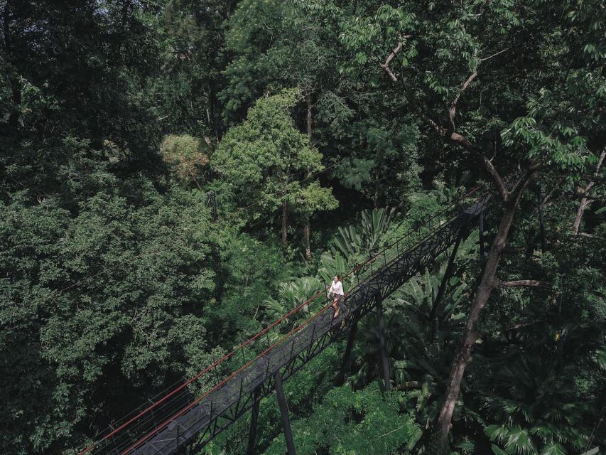 Phuket: Hanuman World Zip Line Adventure - From hotel pickup to the jungle platforms