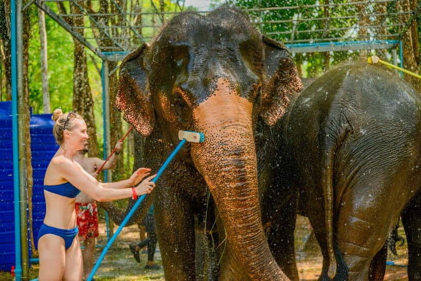 Phuket: Happy Hour Feed and Rain Shower with Elephant - The rain shower with the elephants