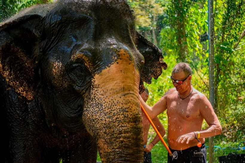 Phuket: Happy Hour Feed and Rain Shower with Elephant - The guide, refreshments, and overall tone