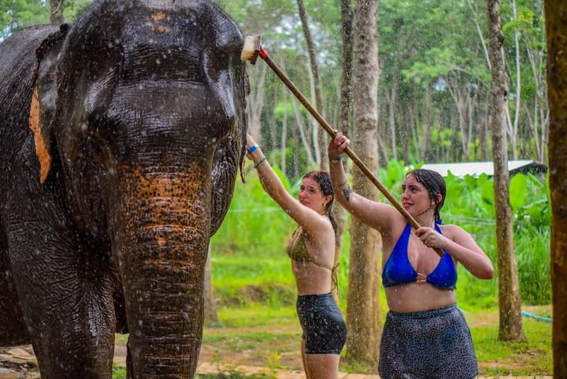 Phuket: Happy Hour Feed and Rain Shower with Elephant - Is $37 good value?