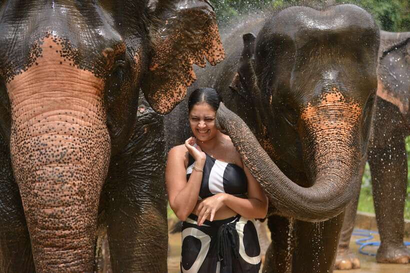 Phuket: Happy Hour Feed and Rain Shower with Elephant - Who will enjoy this elephant experience most?