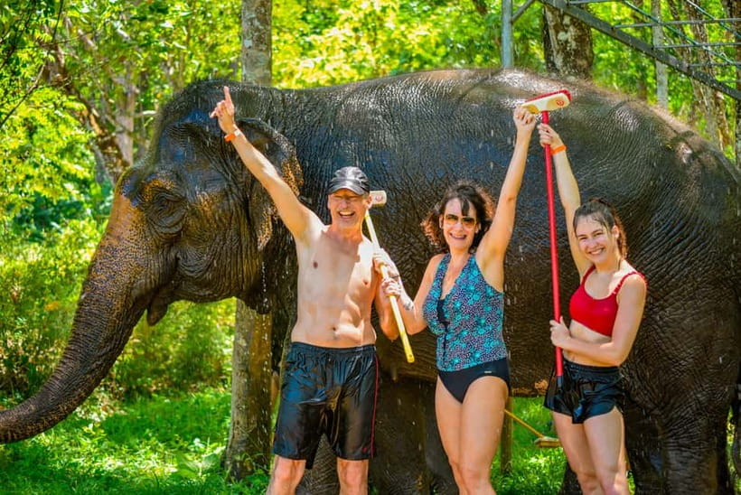 Phuket: Happy Hour Feed and Rain Shower with Elephant - Arriving at Lily Elephant Camp Phuket