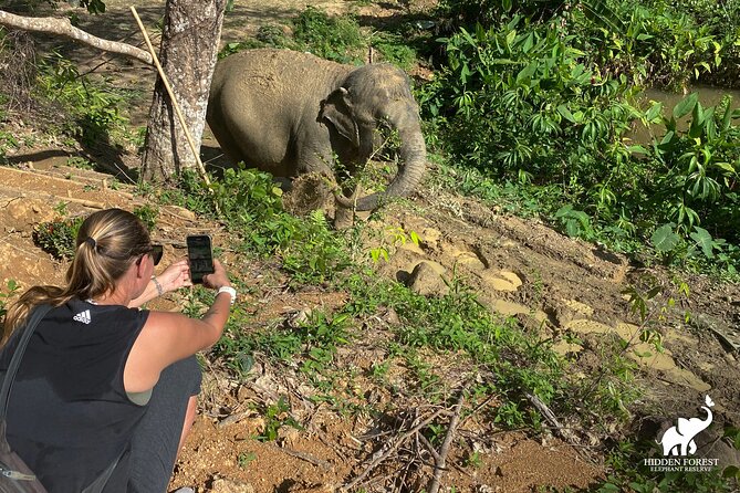 Phuket: Hidden Forest Elephant Reserve Guided Tour with Lunch - A vegetarian Thai lunch with the elephants nearby