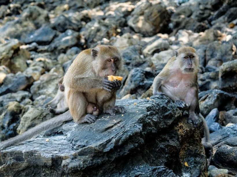 Phuket: James Bond Island Sea Canoe with lunch by Big Boat - Caves and lagoons at Panak Island