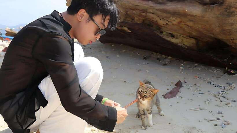 Phuket: Khai Nok, Khai Nai, and Khai Nui Island Day Trip - Khai Nai and the island’s famous cats