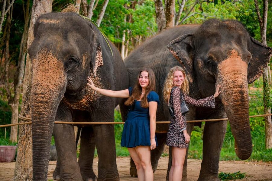 Phuket: Make & Meet The Gentle Giant Experience - What the Lily Elephant Camp experience is really about