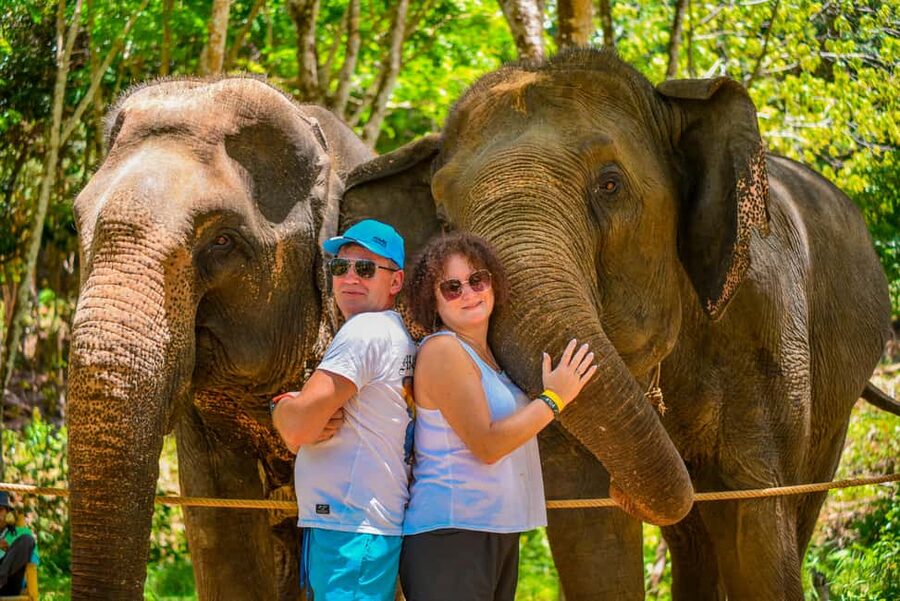 Phuket: Make & Meet The Gentle Giant Experience - Feeding elephants fruit and vitamin balls