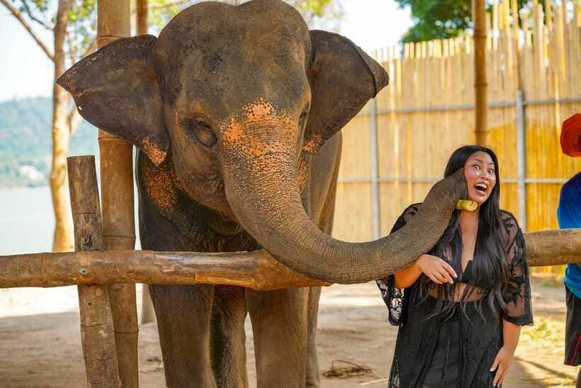 Phuket: Make & Meet The Gentle Giant Experience - The timing and the puzzling transport detail